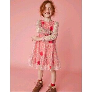 Mini Boden Girl Tulle Dress Jam Red Flowerbed Hearts color Applique pattern 7/8